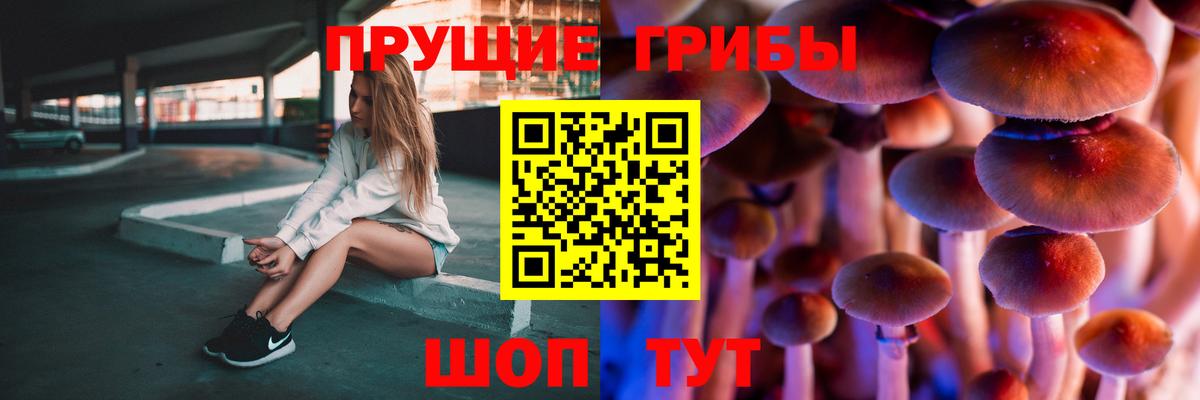 Псилоцибиновые грибы Cubensis  Вход с VPN  Псилоцибиновые грибы MAGIC MUSHROOMS  закладка  Дербент 