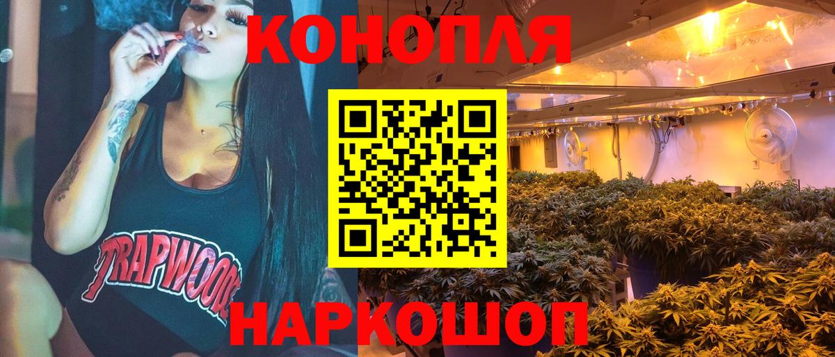 Дербент  Каннабис конопля  Каннабис гибрид  Бошки Шишки план  Вход с VPN 
